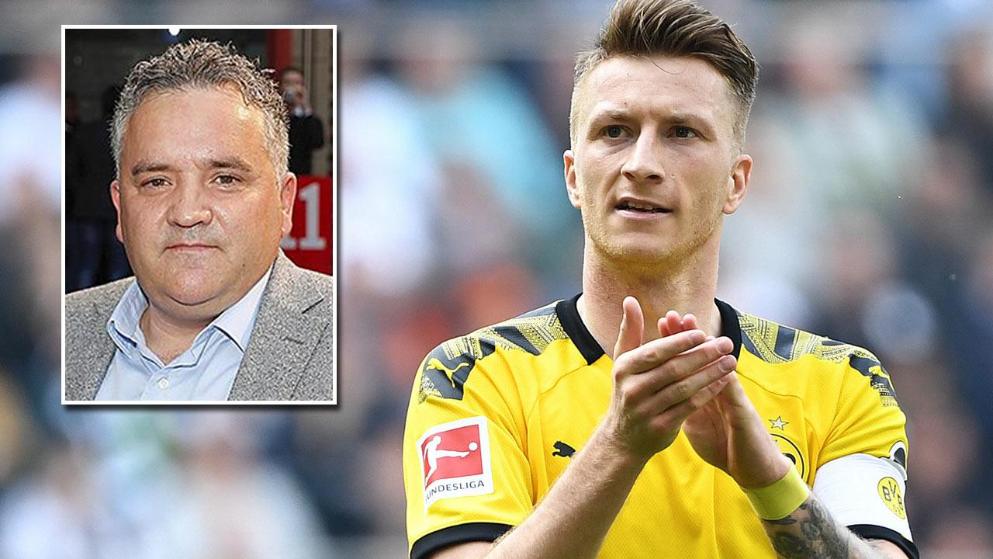 意图利用杯 意图利用杯