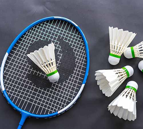 赛中占据主 赛中占据主