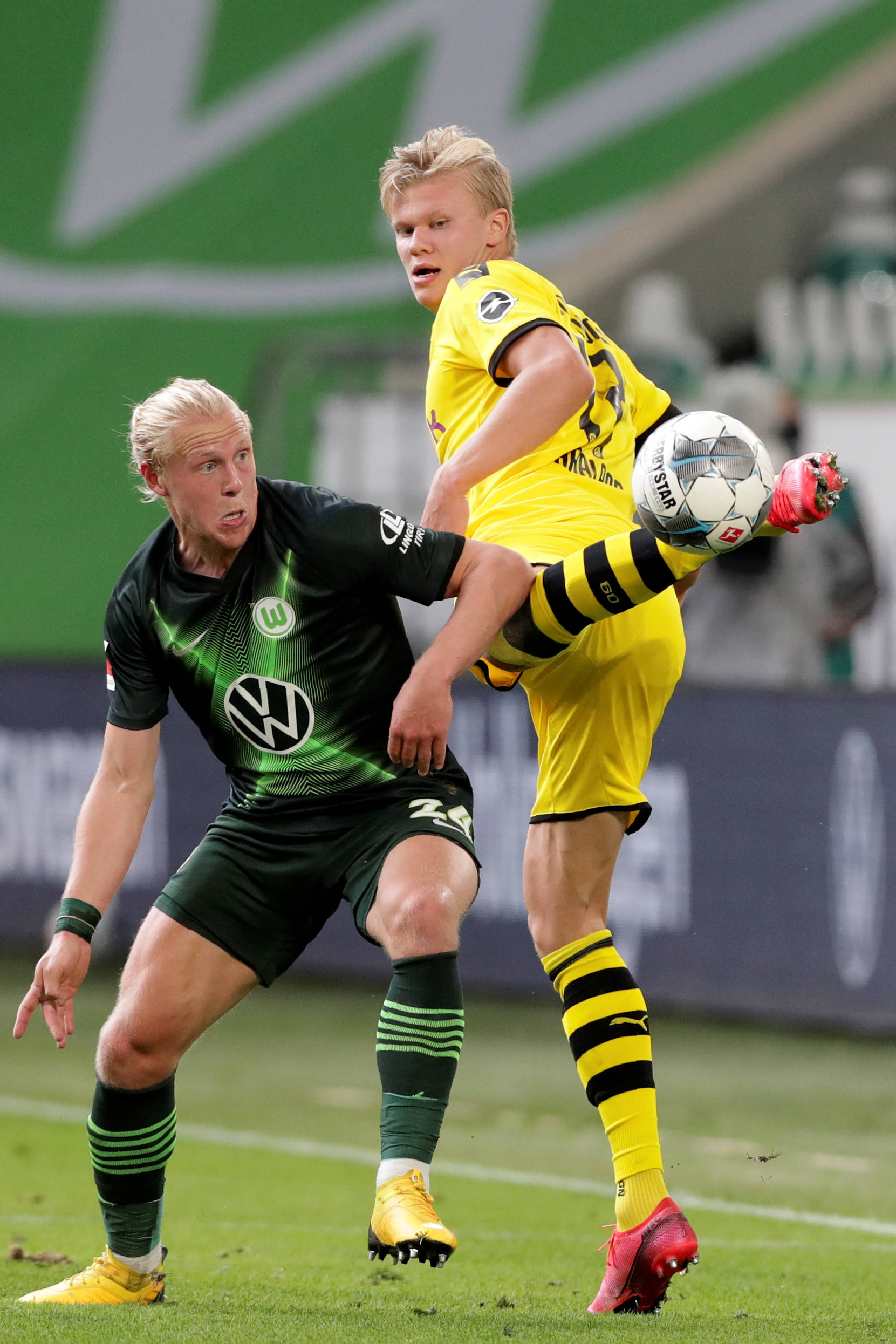 这一现象 这一现象